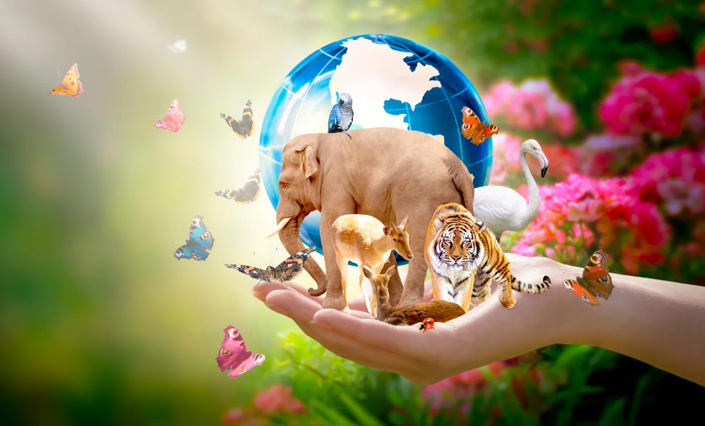quiz biologia Earth,Day,Or,International,Day,For,Biological,Diversity,Concept.,Group