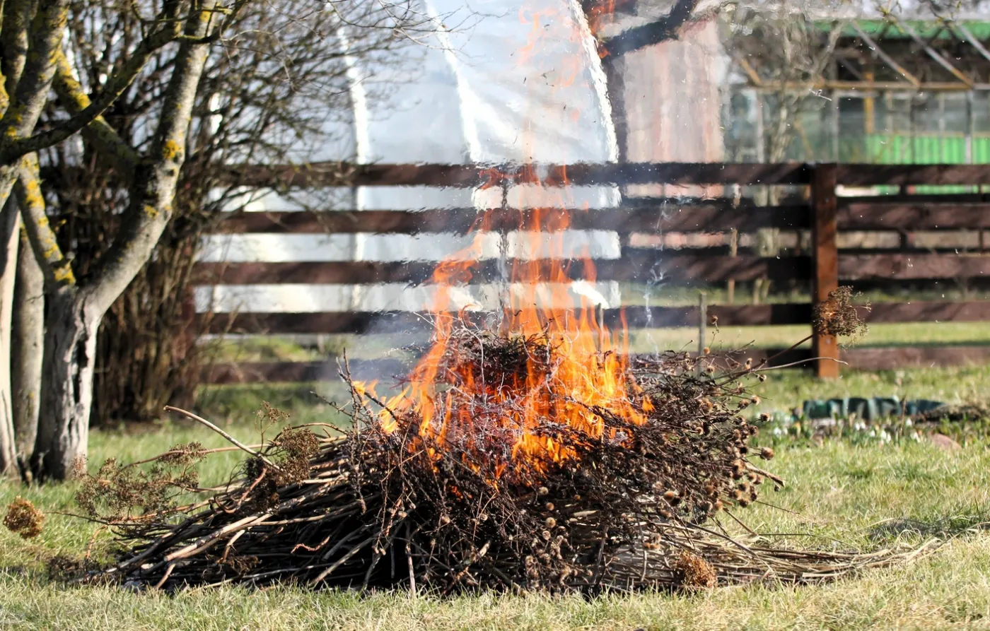30 tysięcy złotych kary za porządki w ogrodzie? Tego sposobu unikaj jak ognia