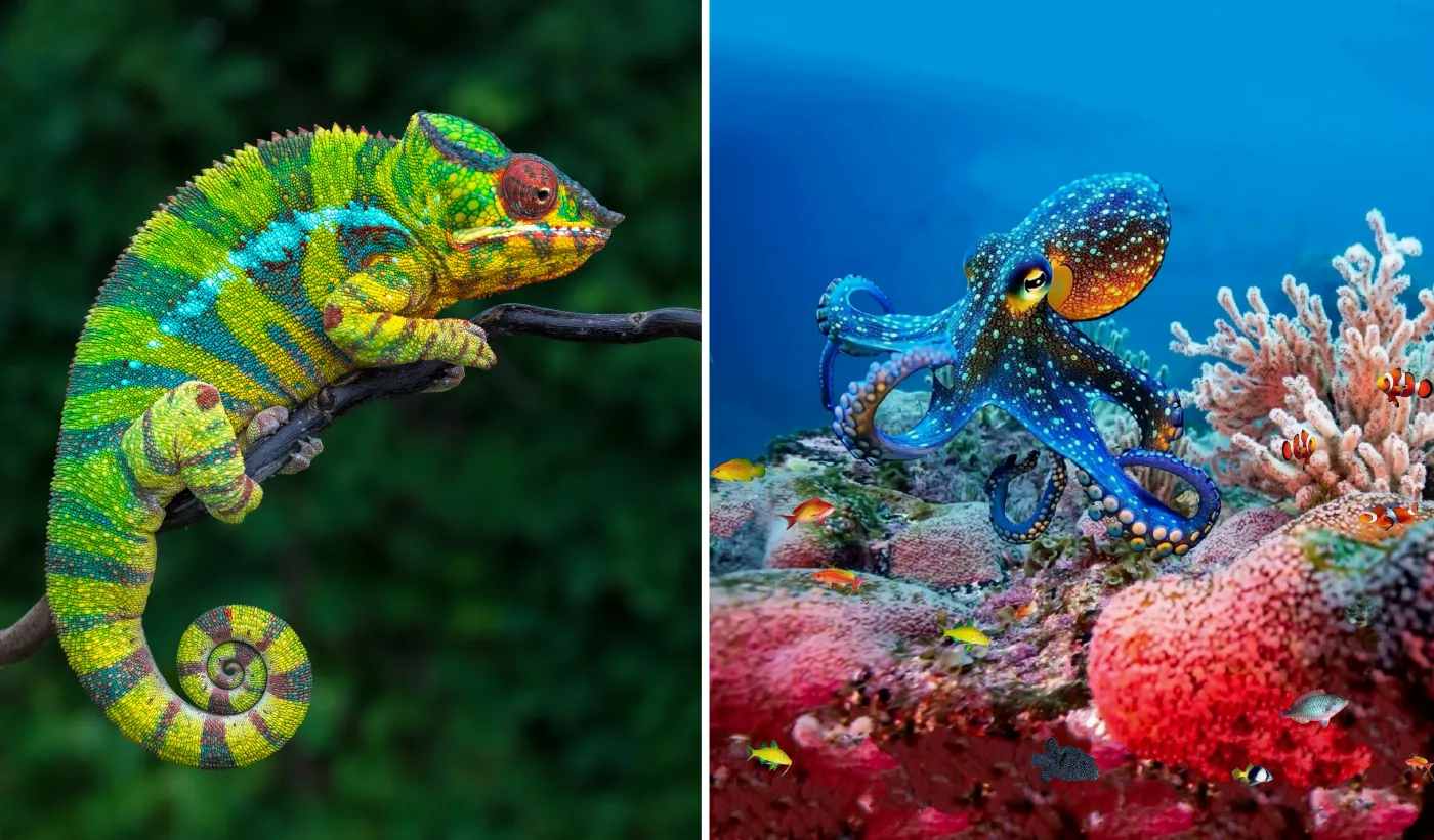 Biologiczne zagadki.  Sprawdź swoją wiedzę w krótkim QUIZ-ie. 7/10 punktów to świetny wynik