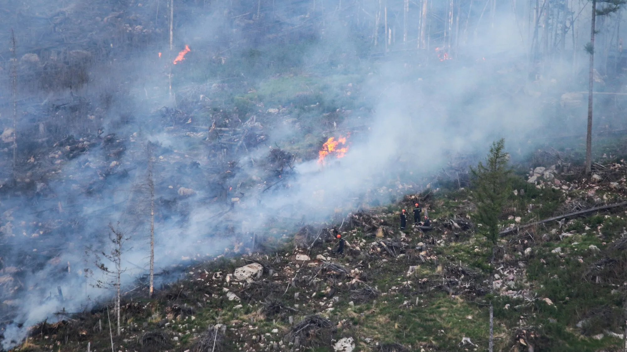 Pożar w Tatrach. Płonie las nad Popradzkim Stawem, trudny teren komplikuje akcję