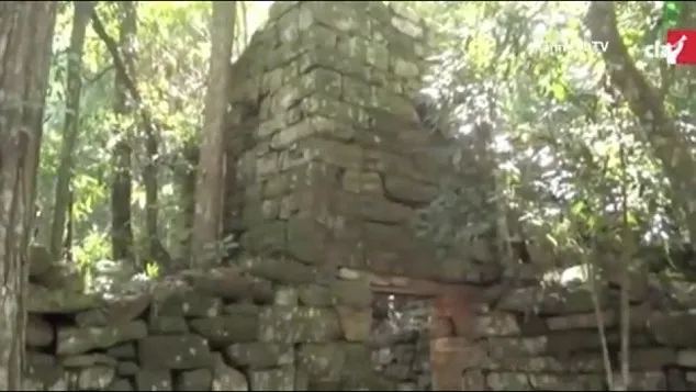 Ruiny budynków znalezione w argentyńskiej dżunglii