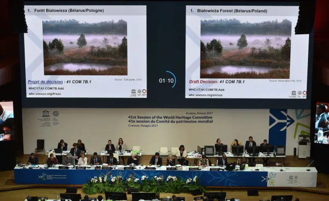 UNESCO wzywa do zaprzestania wycinki. Kazachstan nieoczekiwanym sojusznikiem polskiego rządu