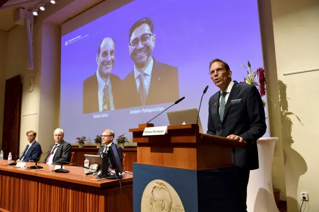 Nobel z medycyny 2021 za receptory ciepła i zimna