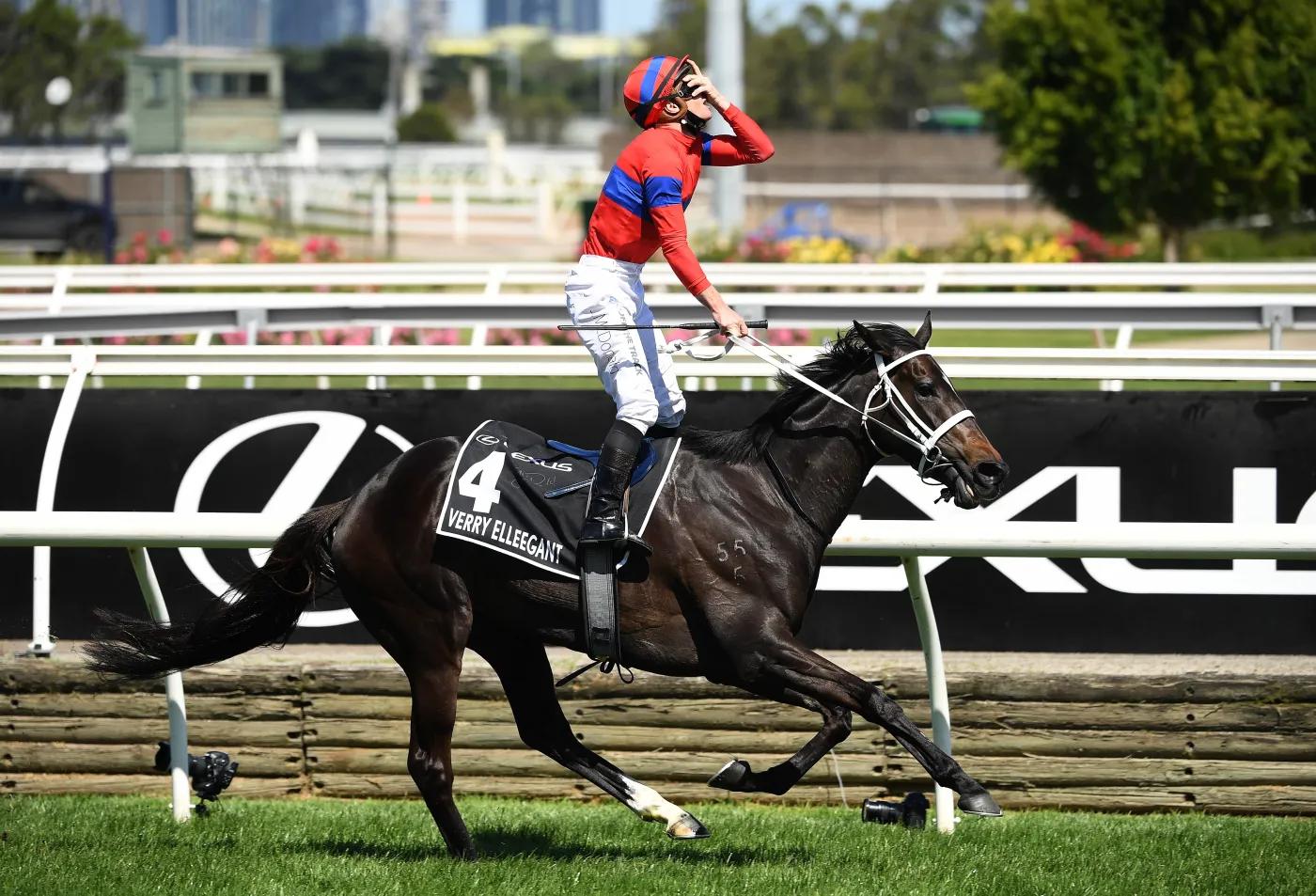 Verry Elleegant zwycięzcą najważniejszej gonitwy w Australii