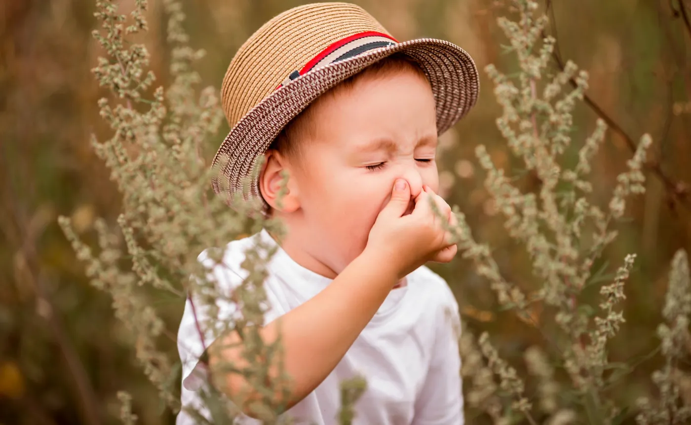 Alergia na pyłki roślin. Co to jest? Jaki są objawy?