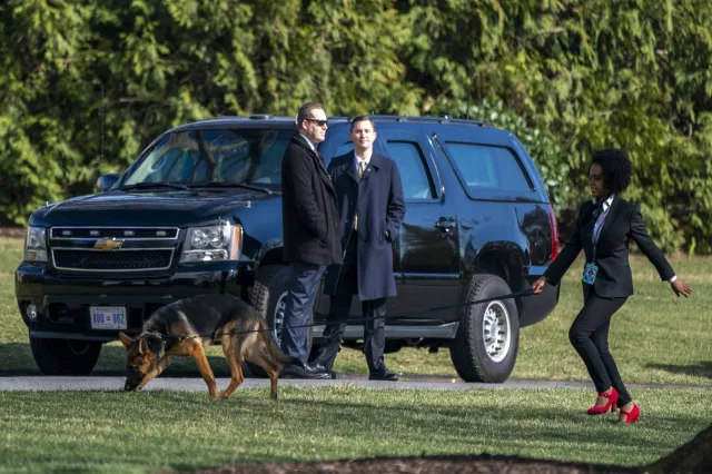 Pies prezydenta Bidena pogryzł kolejnego agenta Secret Service. To już 11 raz