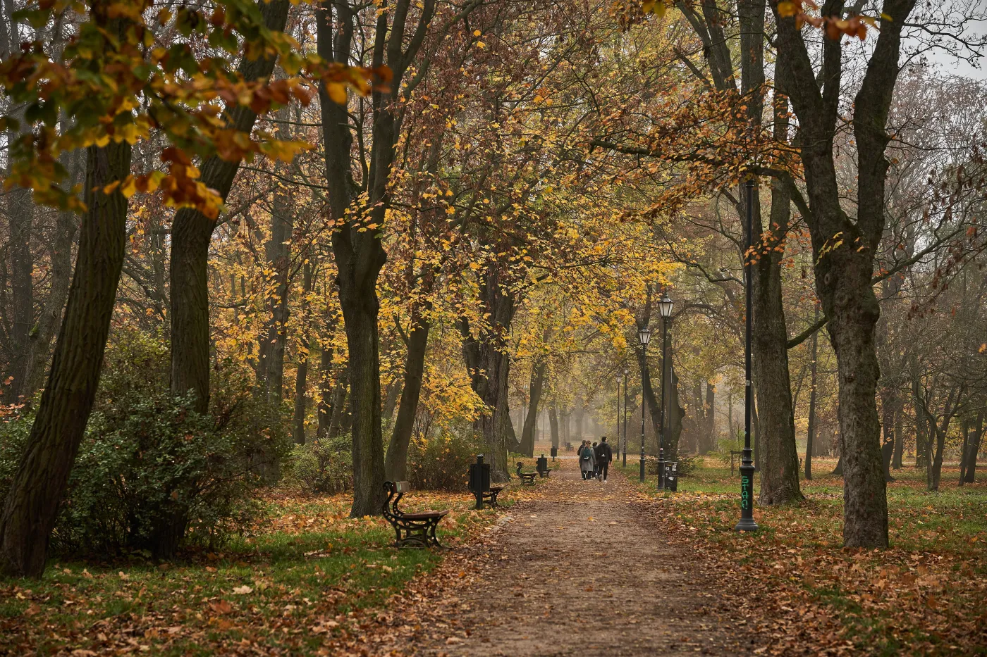 Prognoza pogody na listopad