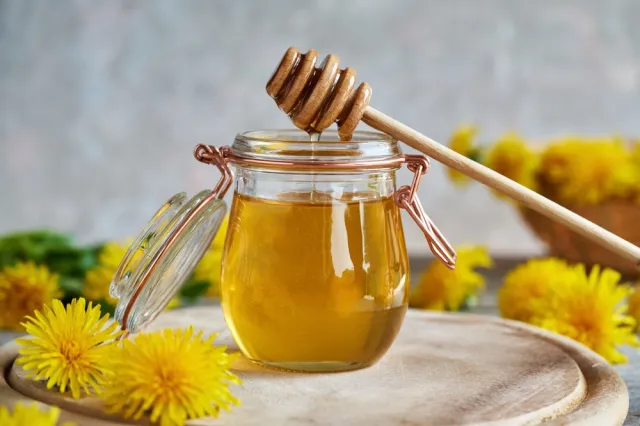 Syrop z mniszka lekarskiego: Witaminowa bomba na zimę. Na kanapkę i na deser