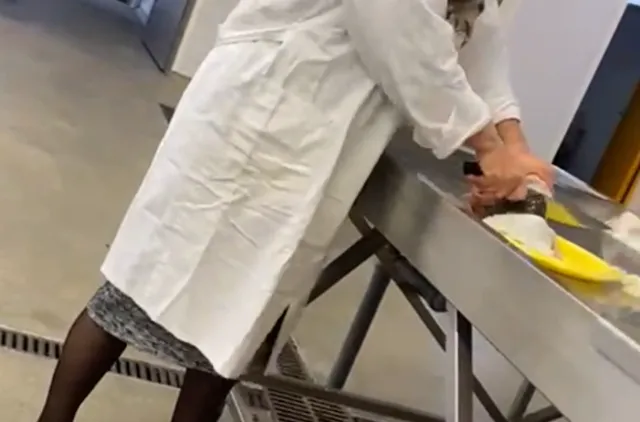 Skandaliczne traktowanie zwierząt na uniwersytecie. Sprawa trafiła do prokuratury