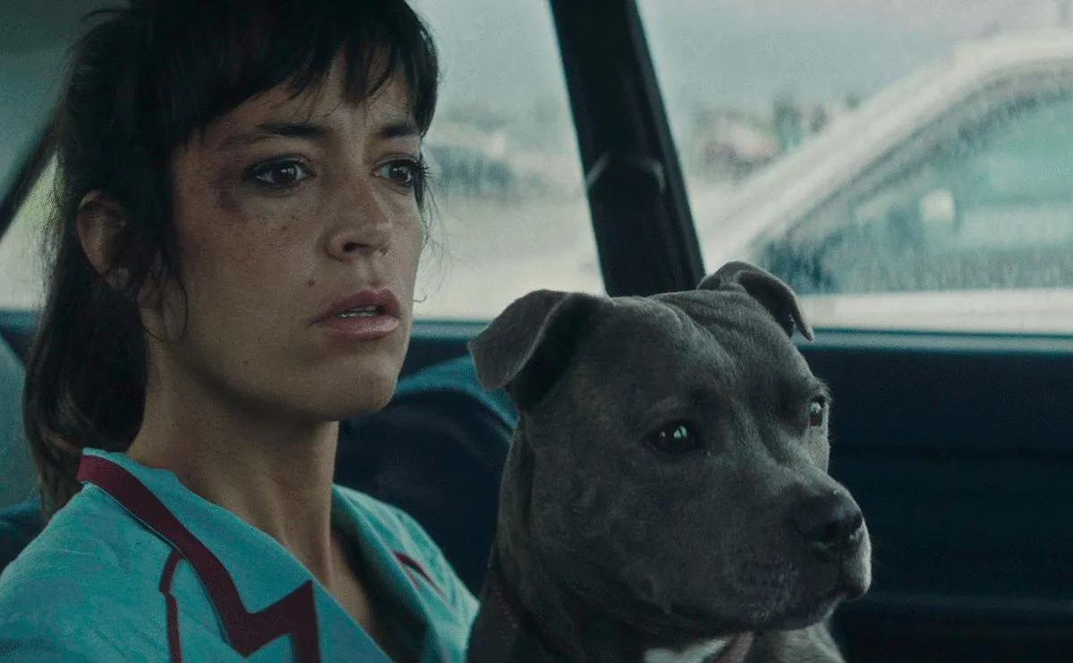 "Vincent musi umrzeć". Jak z ofiary zrobić sprawcę [#DobryCynk]