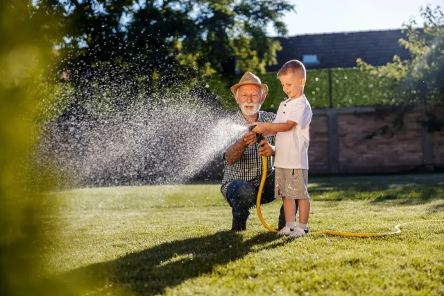 Kiedy podlewać trawnik: rano czy wieczorem?