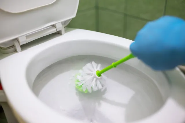 Wrzuć tę tabletkę do toalety. Muszla będzie lśniła