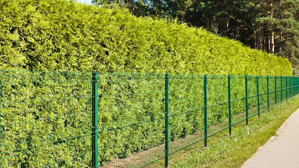 Czy musisz zmienić swoje ogrodzenie? Nowe zasady prawa budowlanego od 2026 r. Kogo dotyczą?