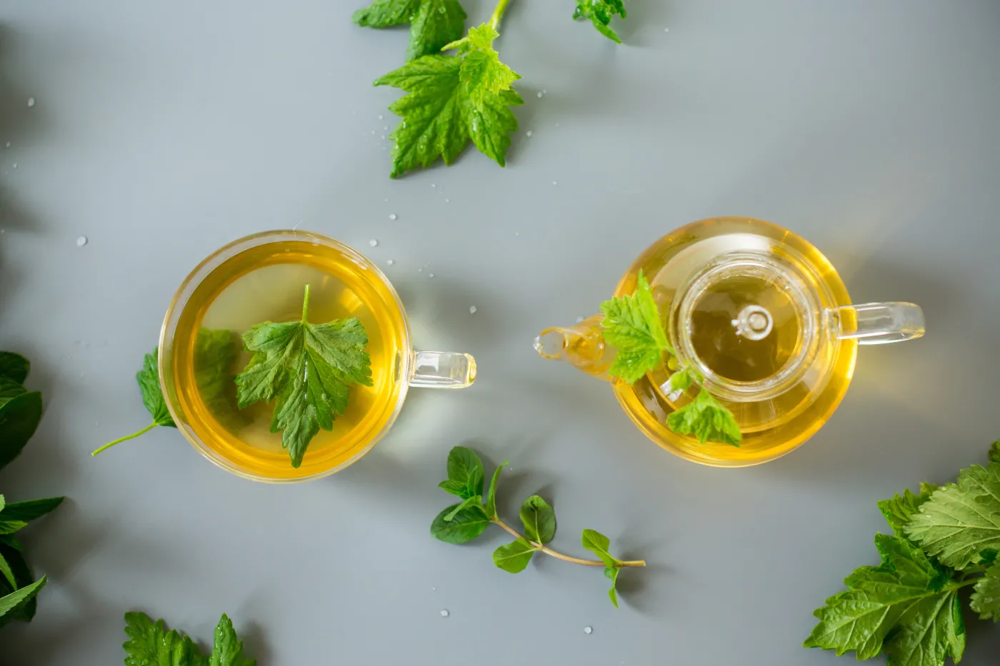 Green,Tea,From,Currant,Leaves,And,Mint,In,A,Glass