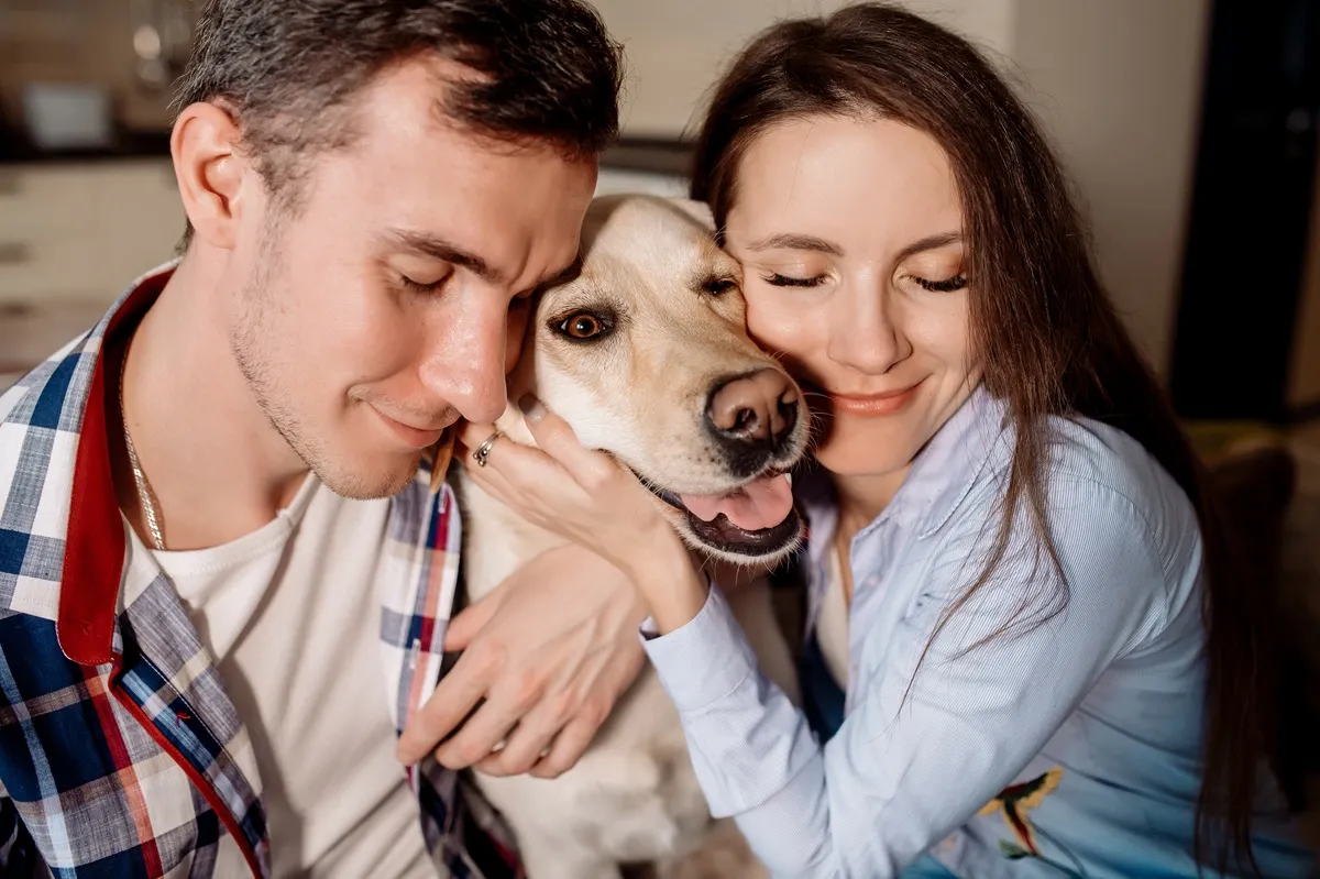 pies, właściciele, 500 plus na psa i kota