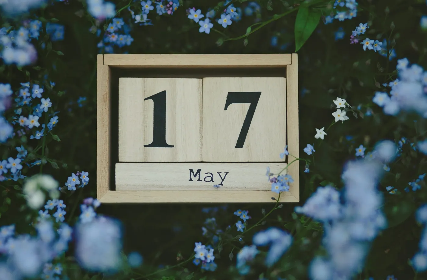 17 maja