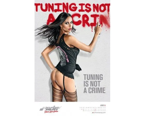 2899351-phoca-thumb-l-simoni-racing-calendario-20128.jpg