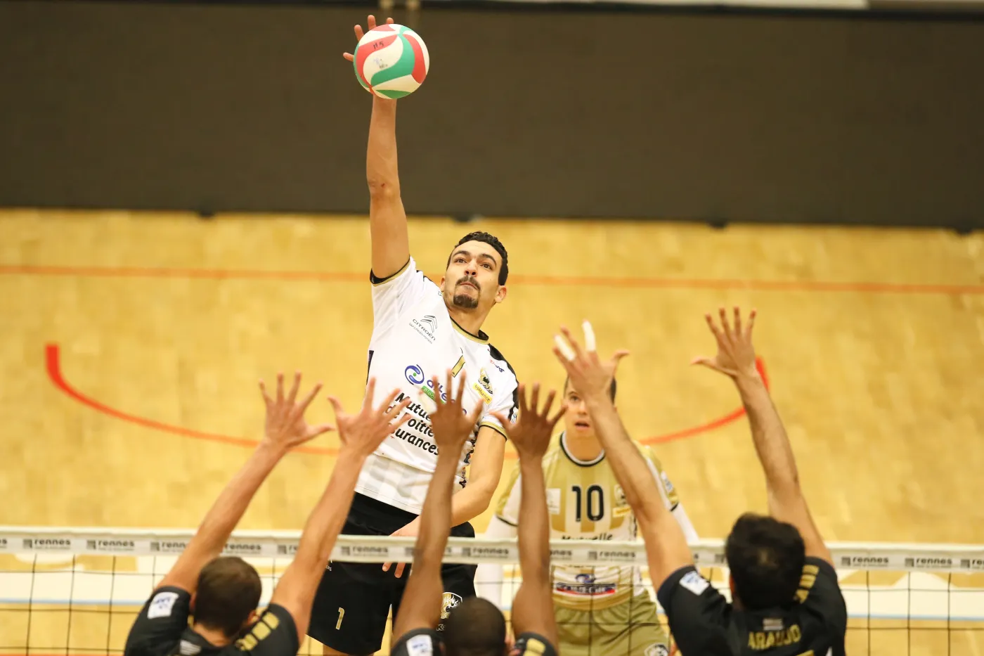 Stal Nysa się wzmacnia. Zouheir El Graoui nowym siatkarzem