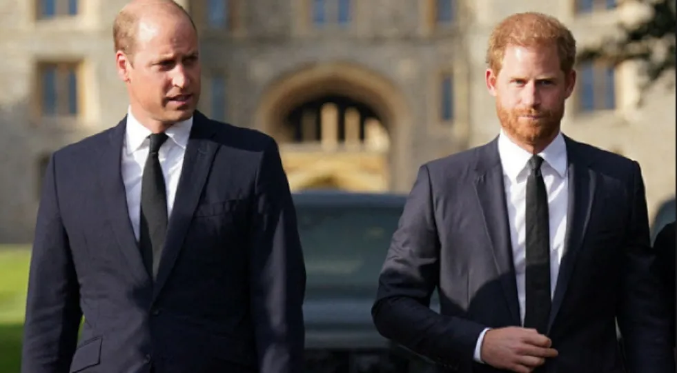 Stosunki między braćmi, księciem Williamem i księciem Harrym są więcej niż chłodne 