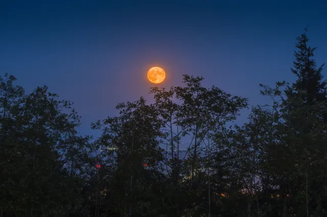Pełnia Księżyca w listopadzie 2025. Kiedy wypada i co nam przyniesie?