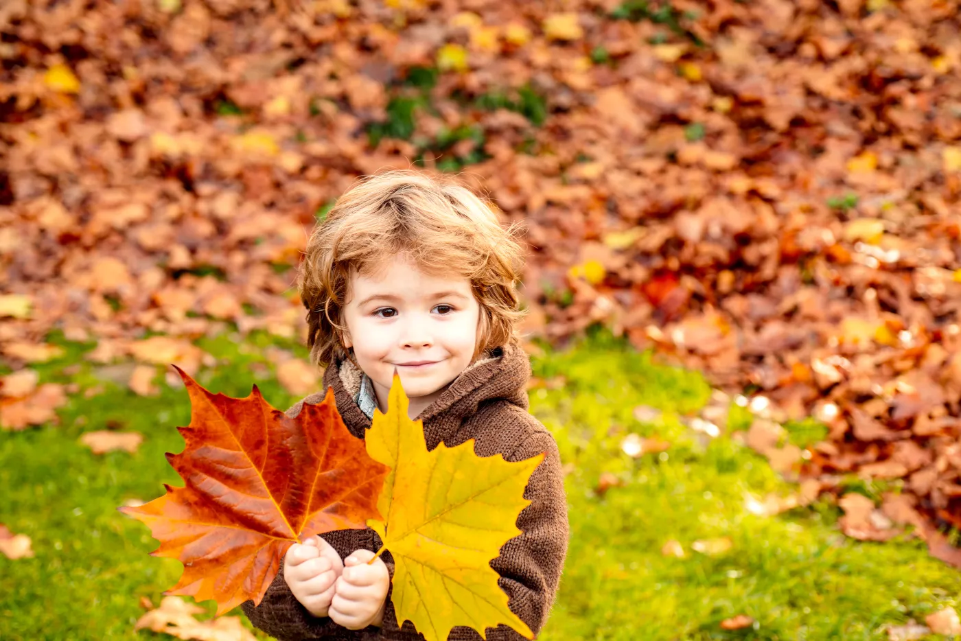 Prognoza pogody na uczniów na 6 listopada. Jak powinni się ubrać w czwartek?