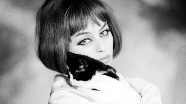 Kalina Jędrusik, wielka gwiazda PRL i jej tajemnice. Ujawniono nieznane dokumenty [FOTO]