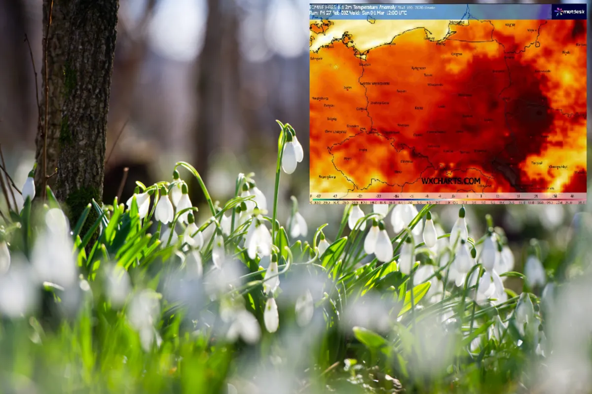 Sensacyjna prognoza IMGW na weekend. Padnie rekord ciepła? 18 stopni to dopiero początek