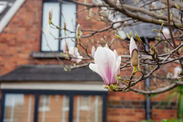 Kiedy koniec mrozów 2026? Kiedy będzie ciepło? Polska podzielona na pół, zima nie odpuszcza