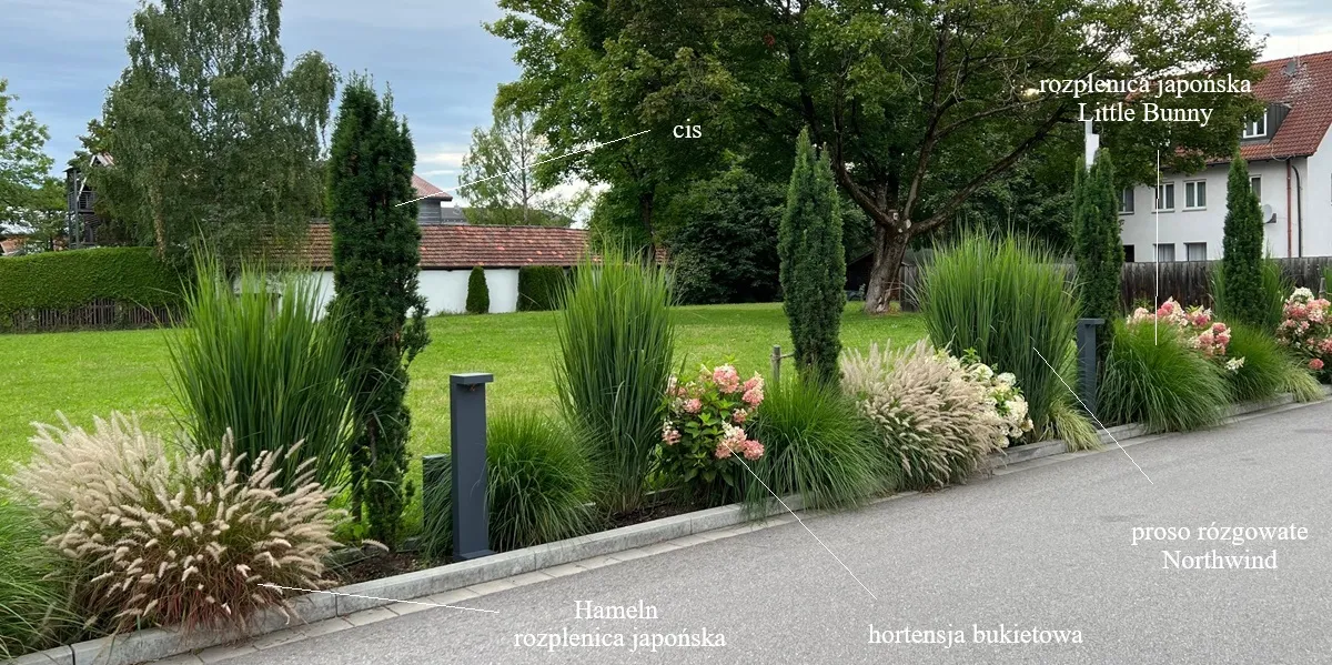 rabata-wzdluz-podjazdu-jakie-rosliny-wybrac-39083561.jpg