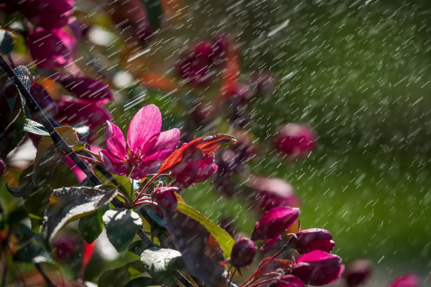 Pogoda na Wielkanoc 2026 zaskoczy. Totalnie nikt się nie spodziewał takiej zmiany. IMGW już to wie