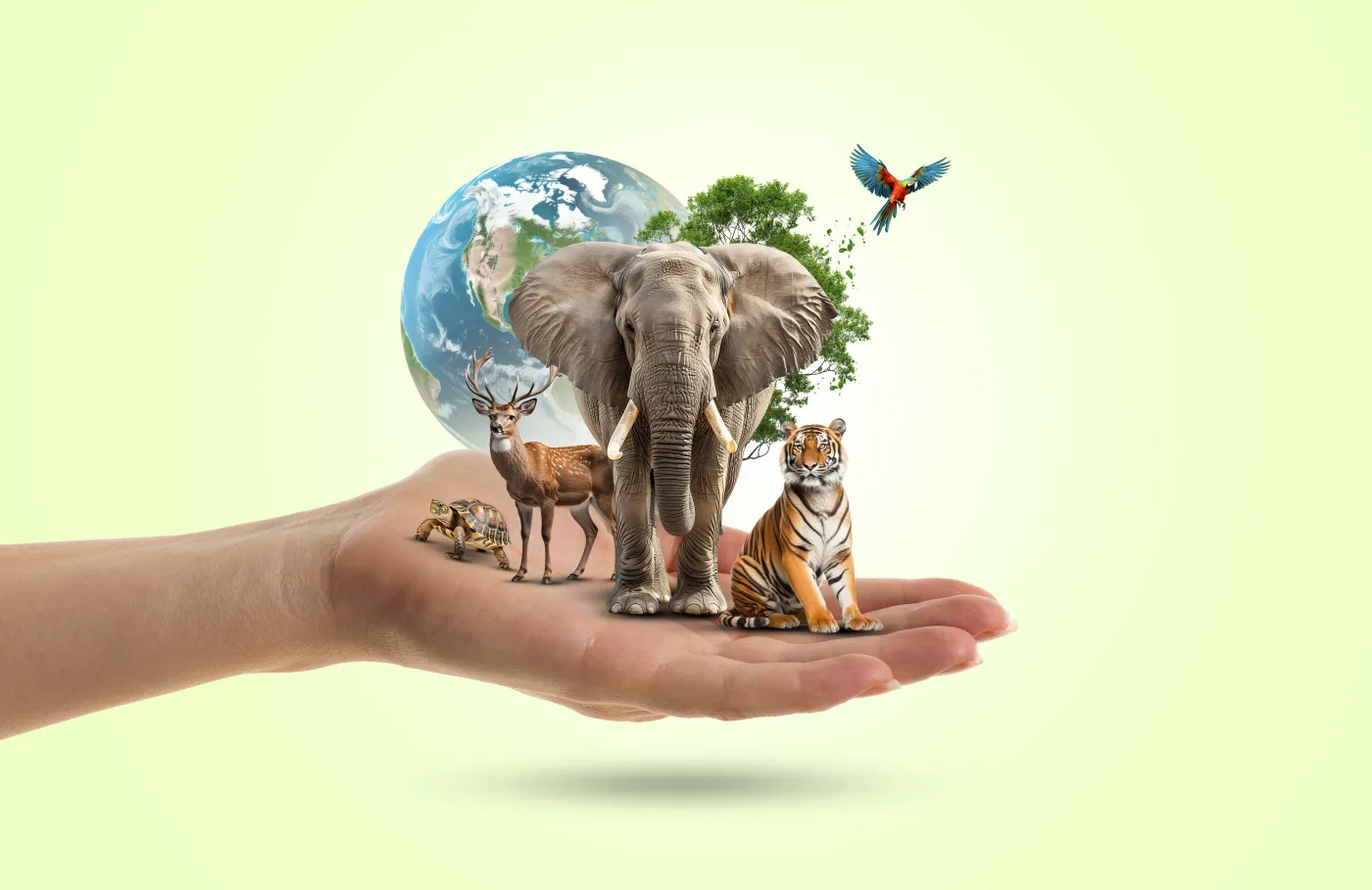 Biologia przyroda quiz  World,Earth,Day,Or,World,Animal,Day,Or,Saving-animal,-protect,Wildlife