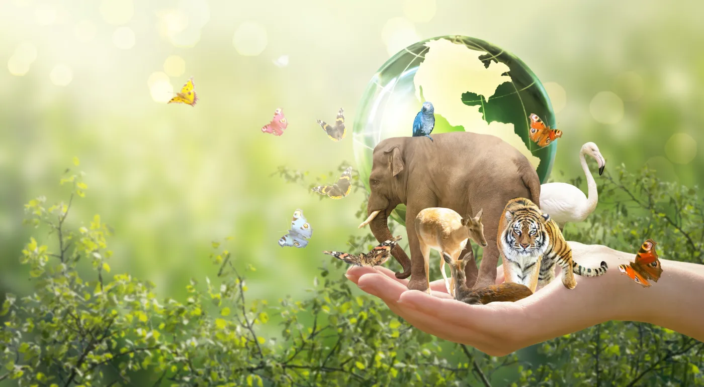 Biologia przyroda quiz  International,Day,For,Biodiversity,Or,World,Wildlife,Day,Concept.,Save