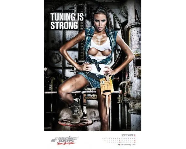 2899445-phoca-thumb-l-simoni-racing-calendario-201211.jpg