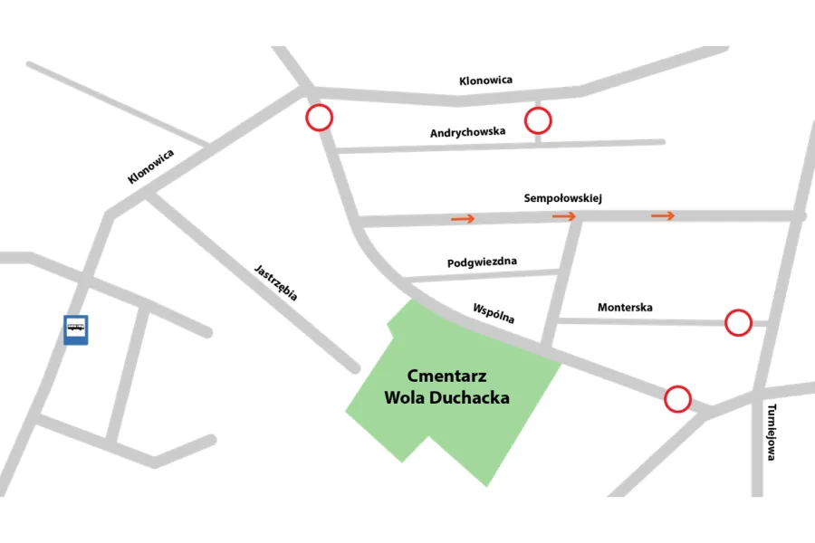 cmentarz-wola-duchacka-przy-ul-wspolnej-krakow-37276288.png
