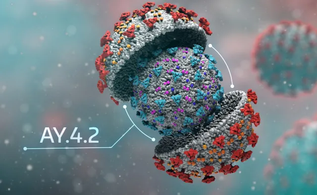 Nowe obostrzenia od 15 grudnia. Resort zdrowia zapowiada nowelizację ROZPORZĄDZENIA