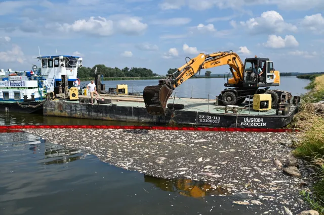 Niemiecka agencja: Podejrzenie, że przyczyną śmierci ryb była rtęć, nie zostało potwierdzone