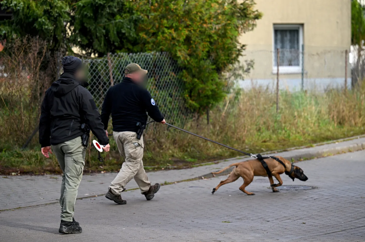 Ważny alert RCB. Chodzi o Grzegorza Borysa