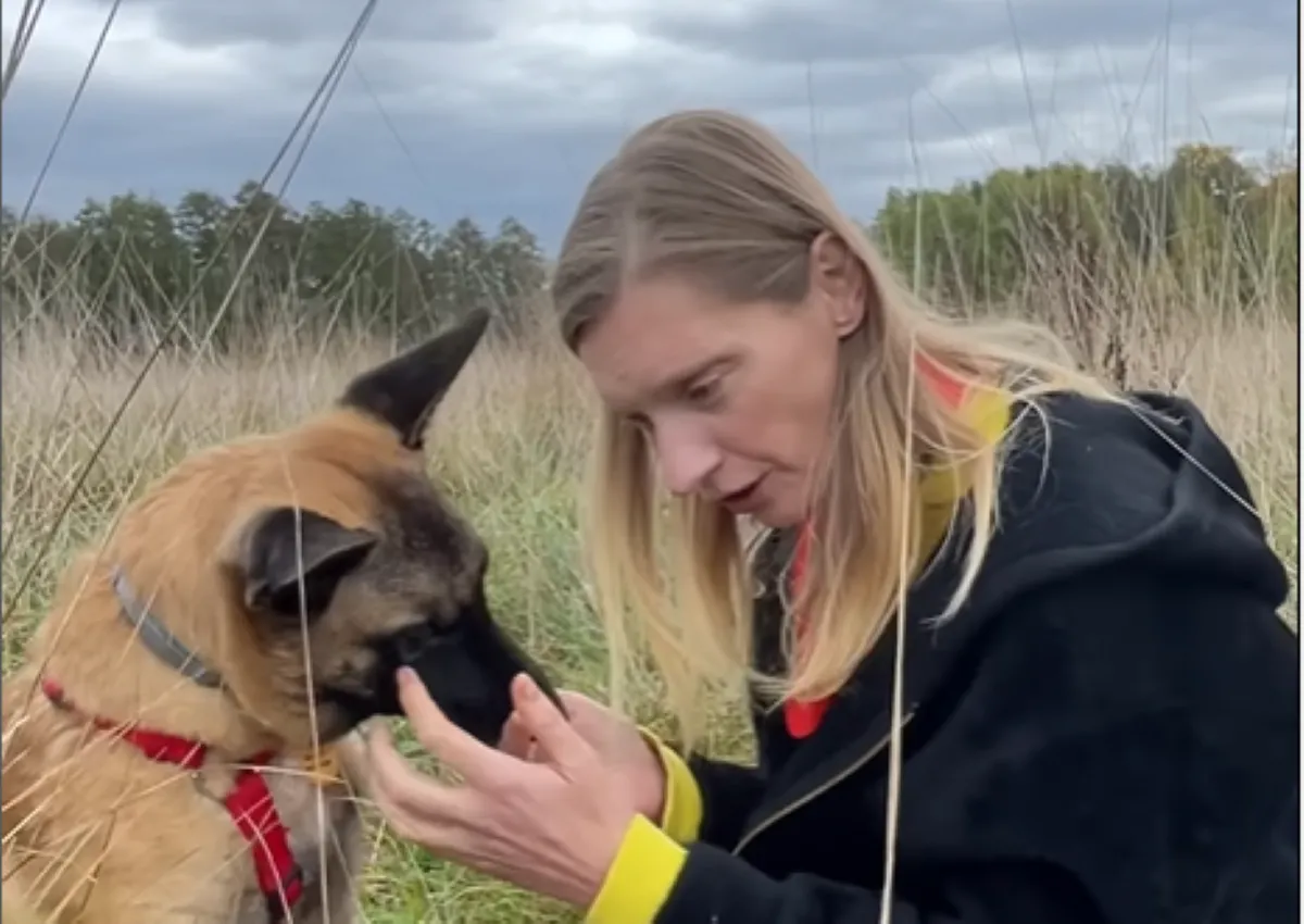 Agata Buzek szuka domu. Dlaczego aktorka prosi o pomoc?
