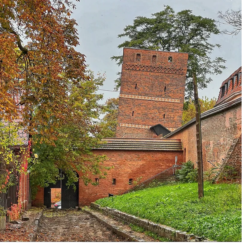 wieza