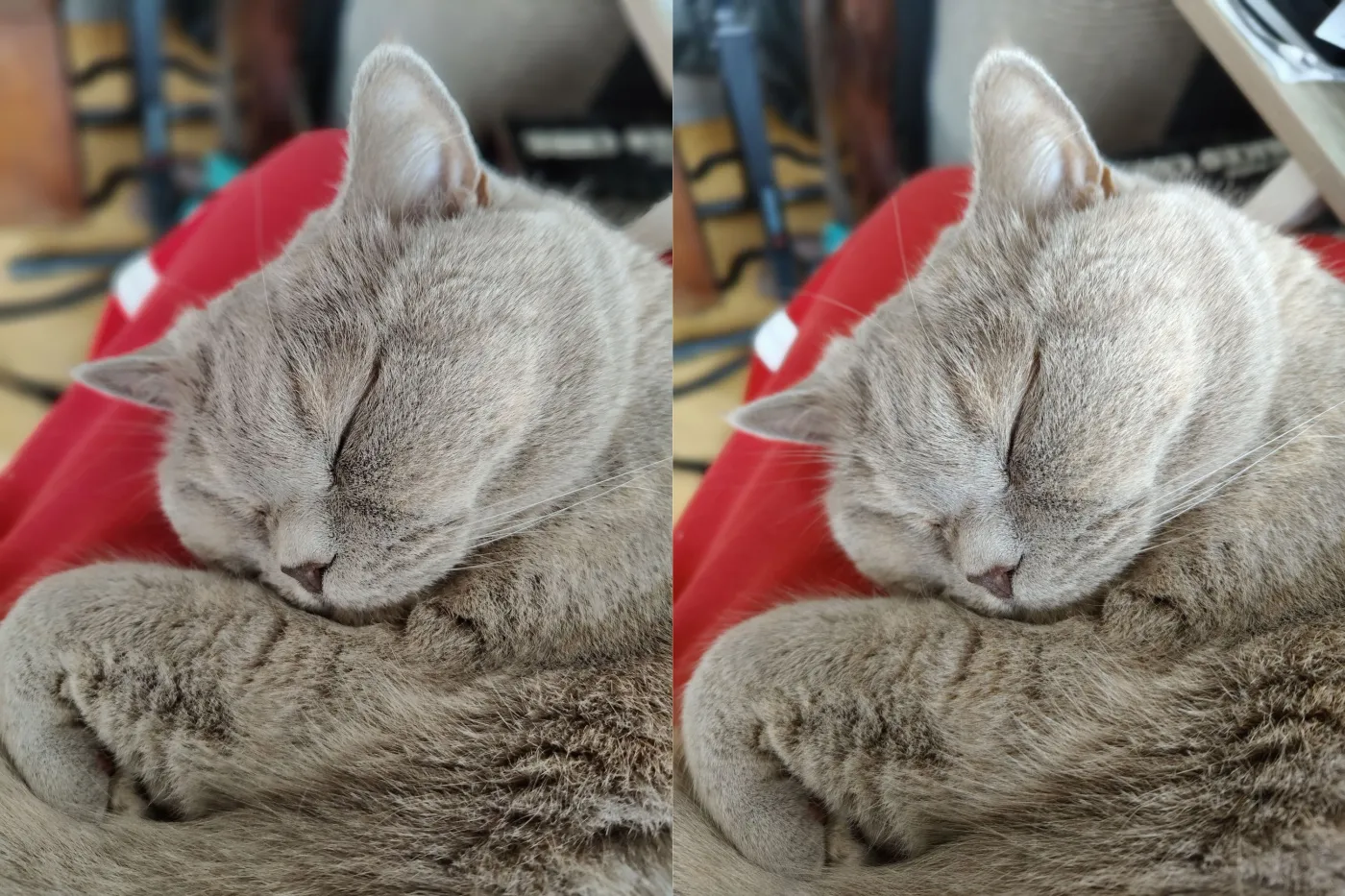 zdjecia-ze-smartfonow-realme-12-pro-i-12-pro-38120663.jpg