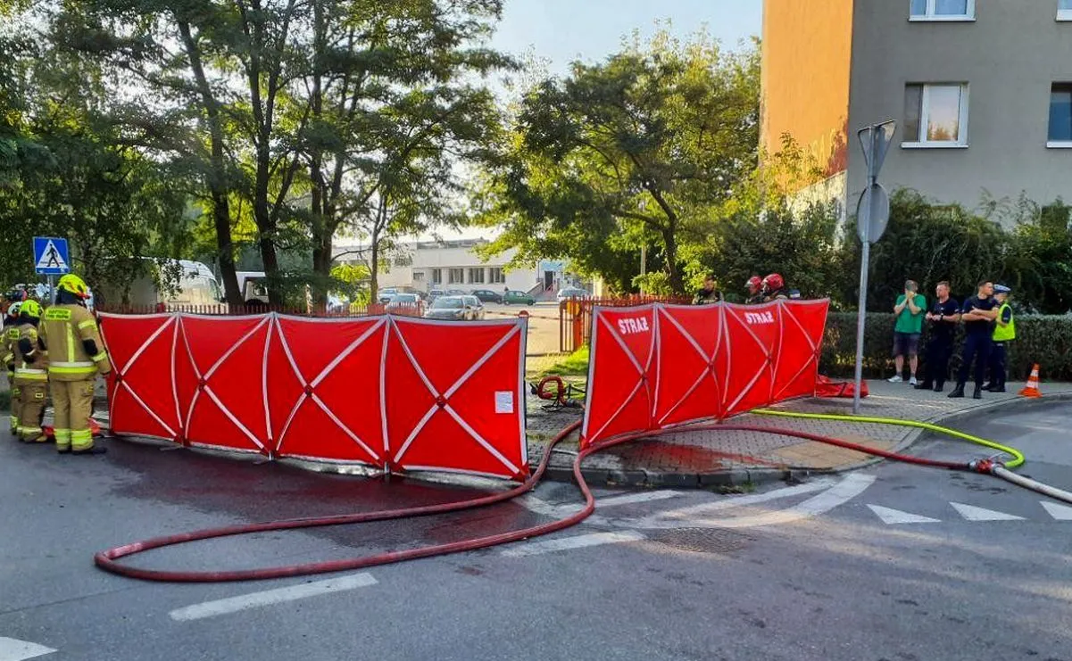pozar-samochodu-elektrycznego-w-skierniewicach-38279389.jpg