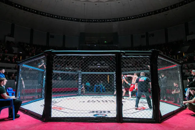 "Boxdel" i szefowie Fame MMA zatrzymani przez CBŚ. Mają usłyszeć zarzuty