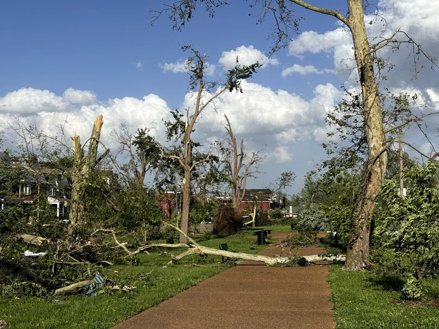 Tornada i burze pustoszą USA.  Nie żyje co najmniej siedem osób, setki tysięcy bez prądu