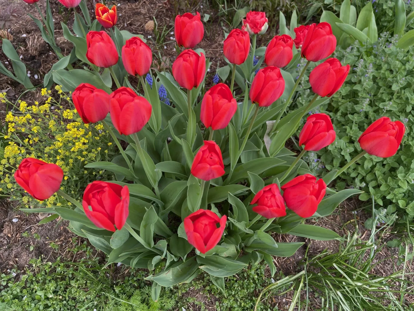 Życzenia na Dzień Kobiet 8 marca 2026. Krótkie, wzruszające, najpiękniejsze życzenia Dzień Kobiet