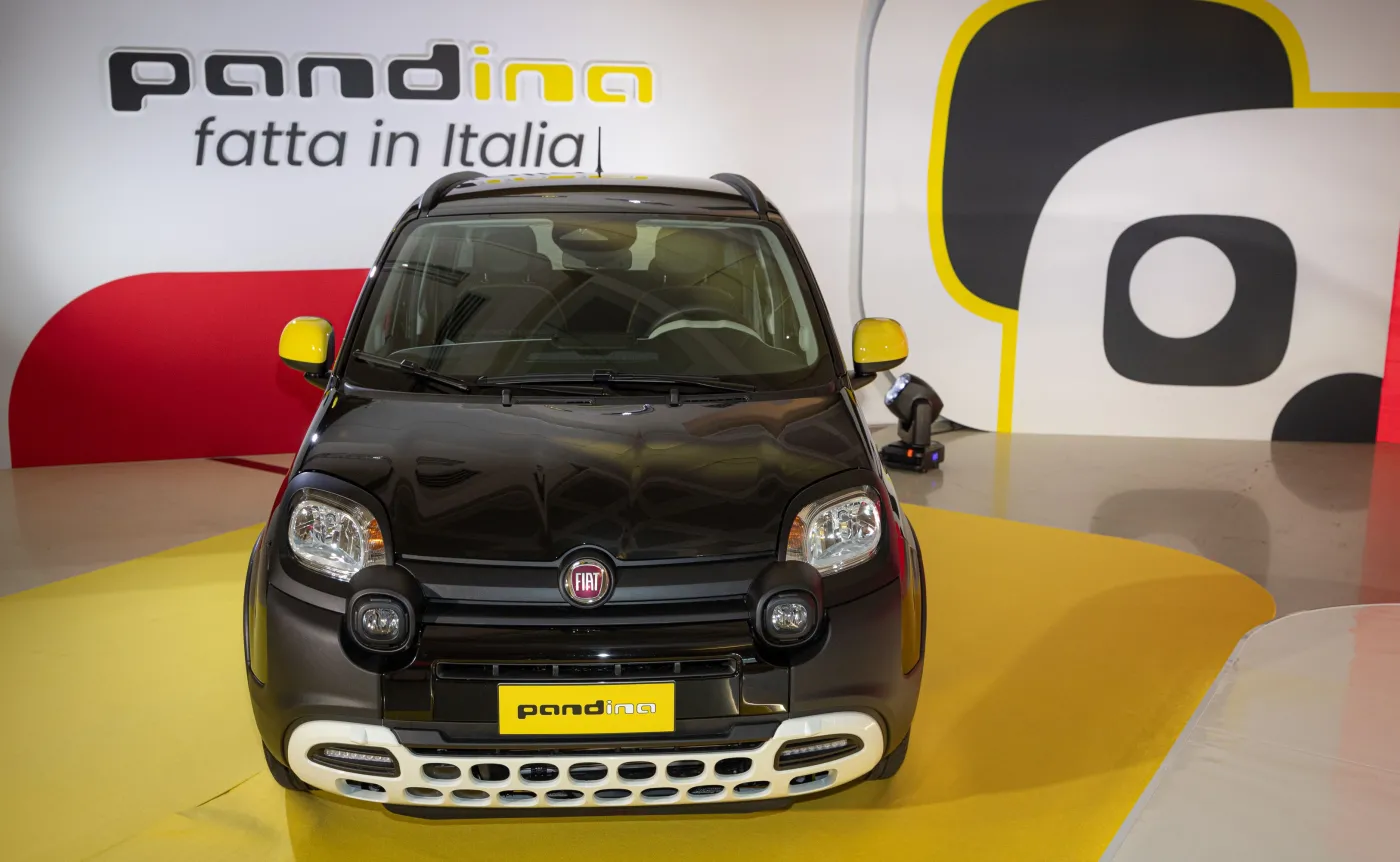 fiat-pandina-czyli-fiat-panda-w-nowym-wydaniu-38117198.jpg