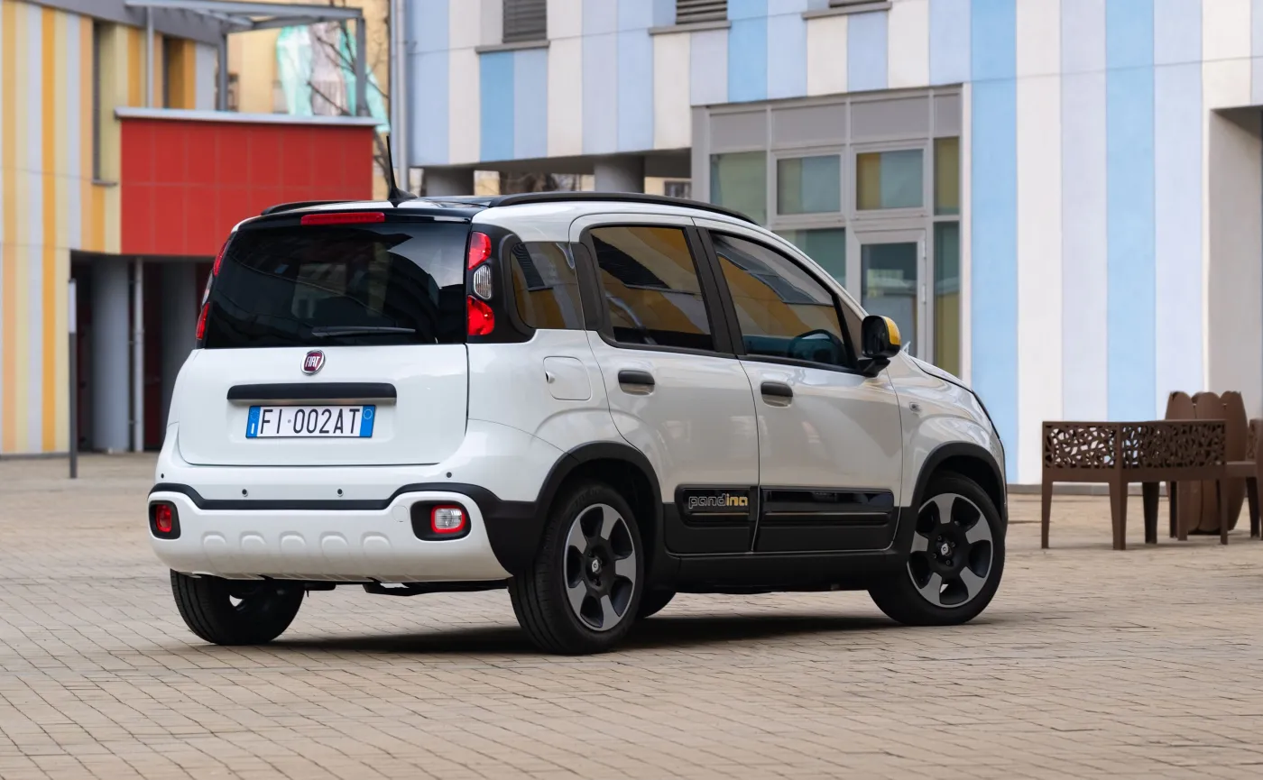 fiat-pandina-czyli-fiat-panda-w-nowym-wydaniu-38117206.jpg