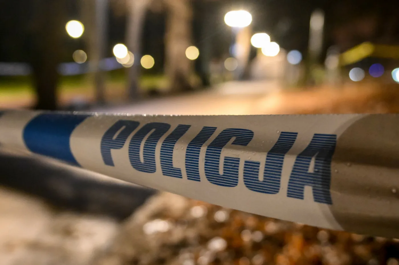 Nagłe przyspieszenie ws. zaginięcia Iwony Wieczorek. Po 15 latach śledczy mają nowe dowody