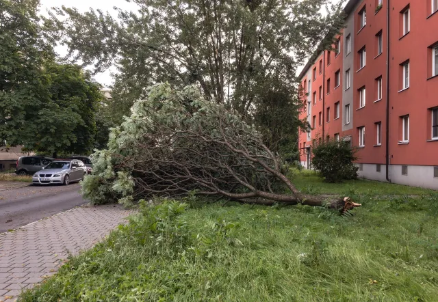 Świąteczny poniedziałek pod znakiem porywistego wiatru. IMGW i RCB ostrzegają