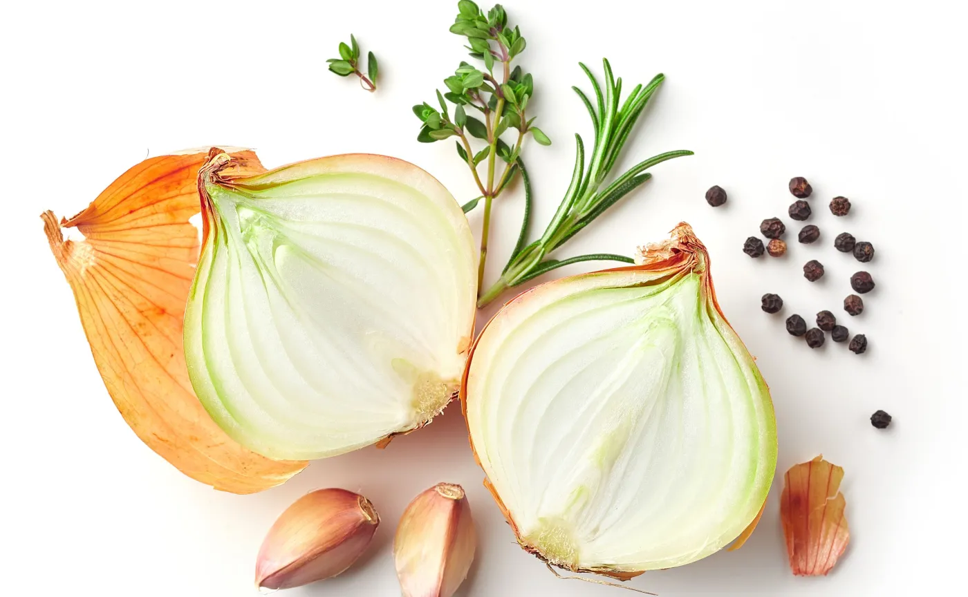 Średniowieczny lek może być skutecznym środkiem antybakteryjnym