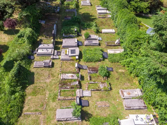 Dewastacja żydowskiego cmentarza w Bielsku-Białej. Policja: To dwaj 12-latkowie i 13-latek